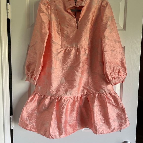 NWT Tuckernuck Bellini Pink Fil Coupe Palmerston party dress S - Picture 6 of 15